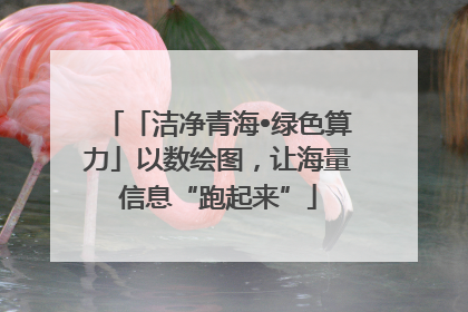「洁净青海•绿色算力」以数绘图，让海量信息“跑起来”